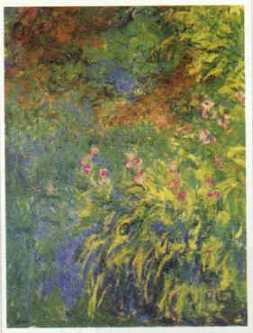 Claude Monet Irises, 1914-17 China oil painting art